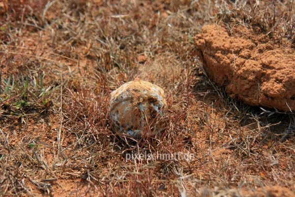 010-bombies-in-phonsavan-laos
