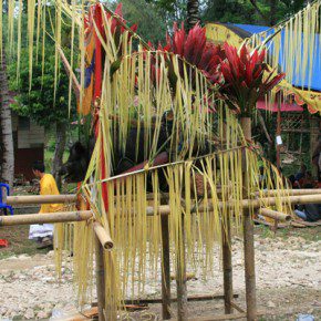blutige zeremonie in sulawesi 11