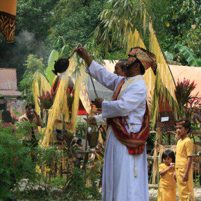 blutige zeremonie in sulawesi 15