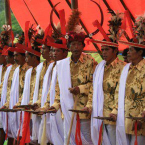 blutige zeremonie in sulawesi 17