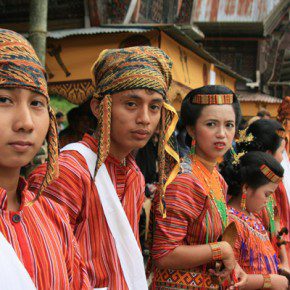 blutige zeremonie in sulawesi 6