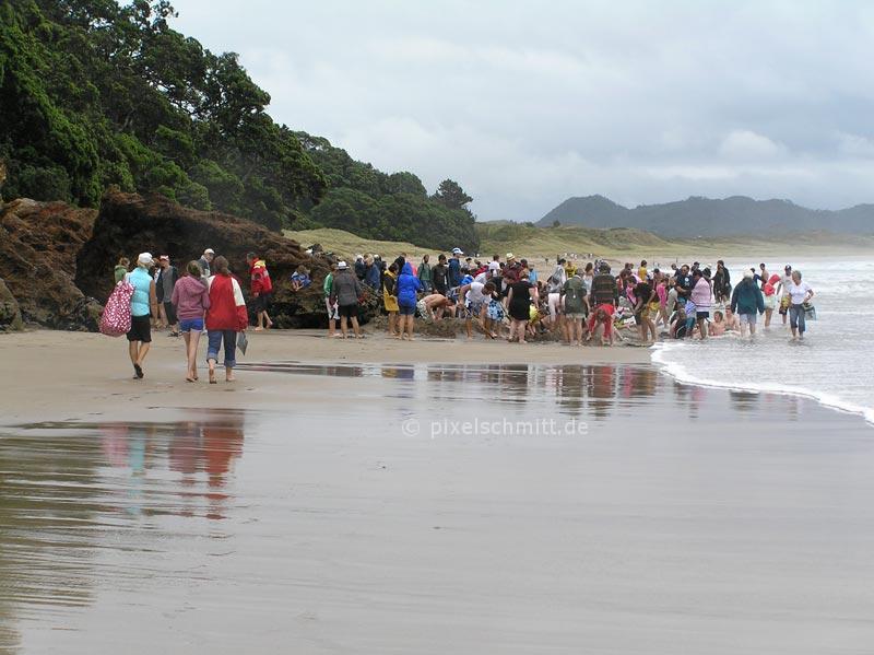 hot water beach neuseeland coromandel peninsula 05