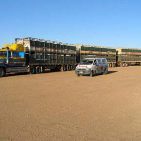 Unser kleiner Wicked Camper neben einem riesigen Roadtrain