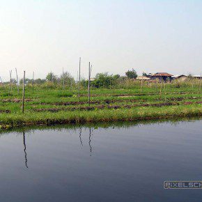 reisebericht myanmar inle see schwimmende felder 05