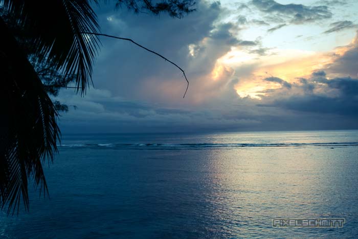 fotos-suedsee-rarotonga-6038