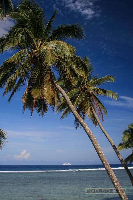 fotos-suedsee-rarotonga-6094