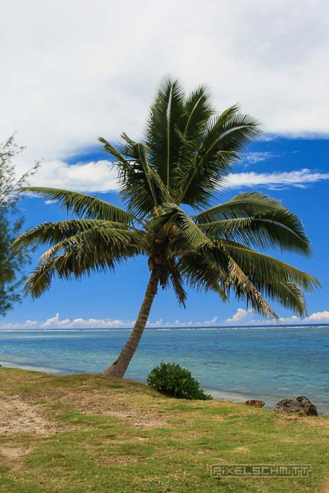 fotos-suedsee-rarotonga-6280