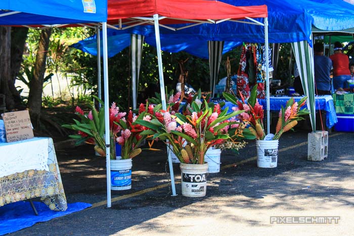 fotos-suedsee-rarotonga-6492