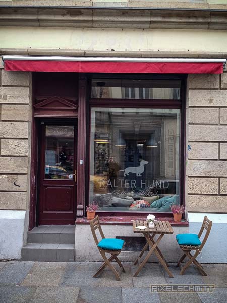 kalter-hund-dresden-neustadt-foto-streetart-5122