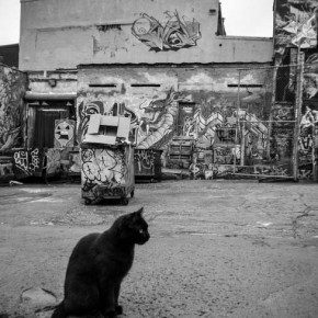 5 pointz new york graffiti farewell 5876