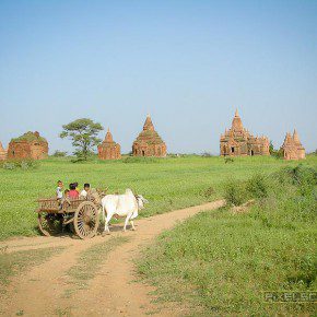 bagan myanmar highlight 060482