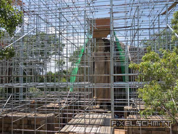 Der Buddha hinter Gittern. Man kommt zwar ganz nah ran, aber leider sieht man ihn nicht komplett