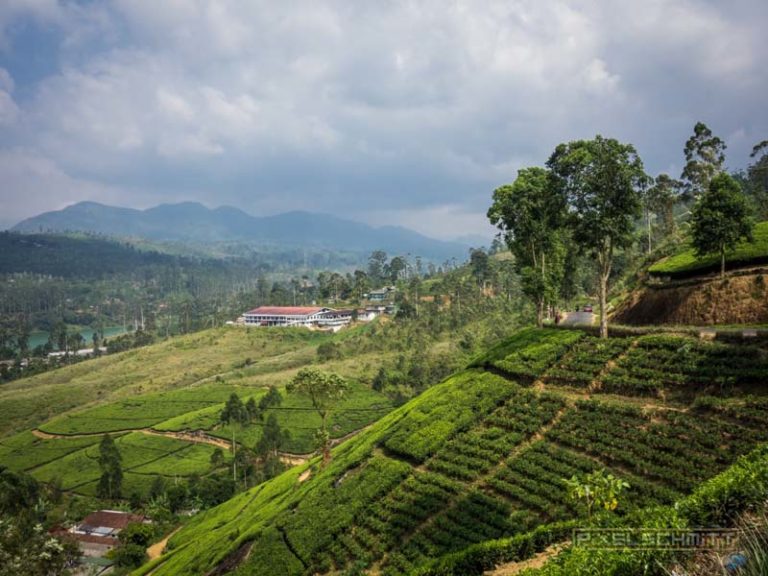 how to climb adams peak sri lanka sri pada 12