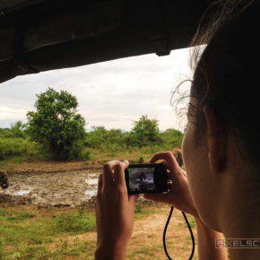 Safari im Udawalawe Nationalpark