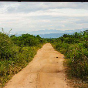 uda walawe national park safari 15