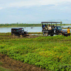 uda walawe national park safari 25