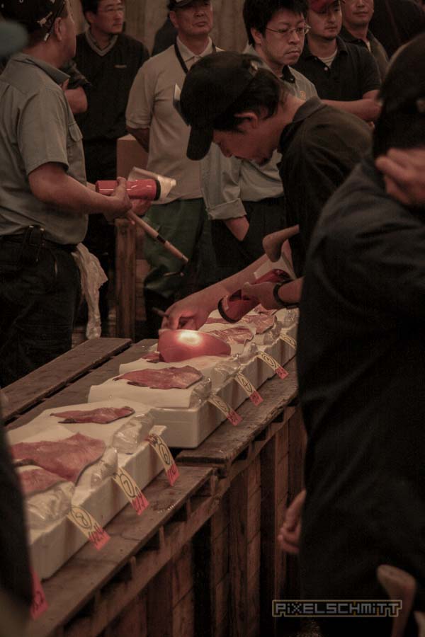 fischmarkt-tokyo-10