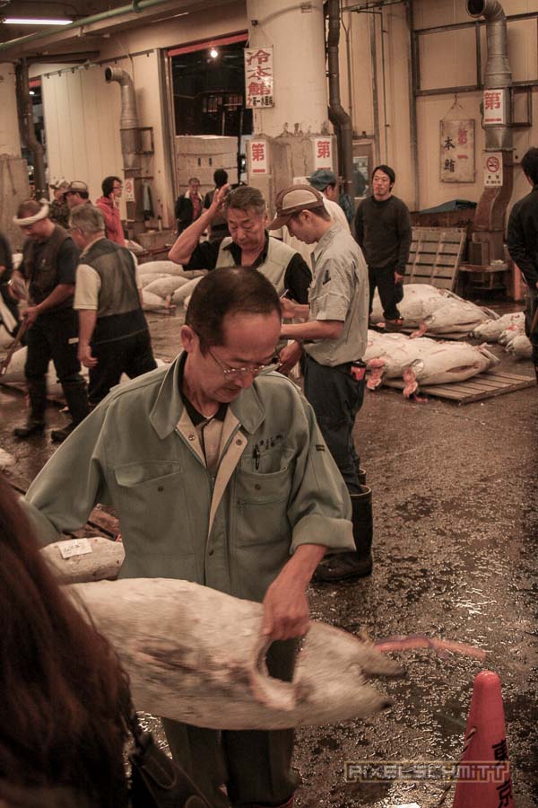 fischmarkt-tokyo-12