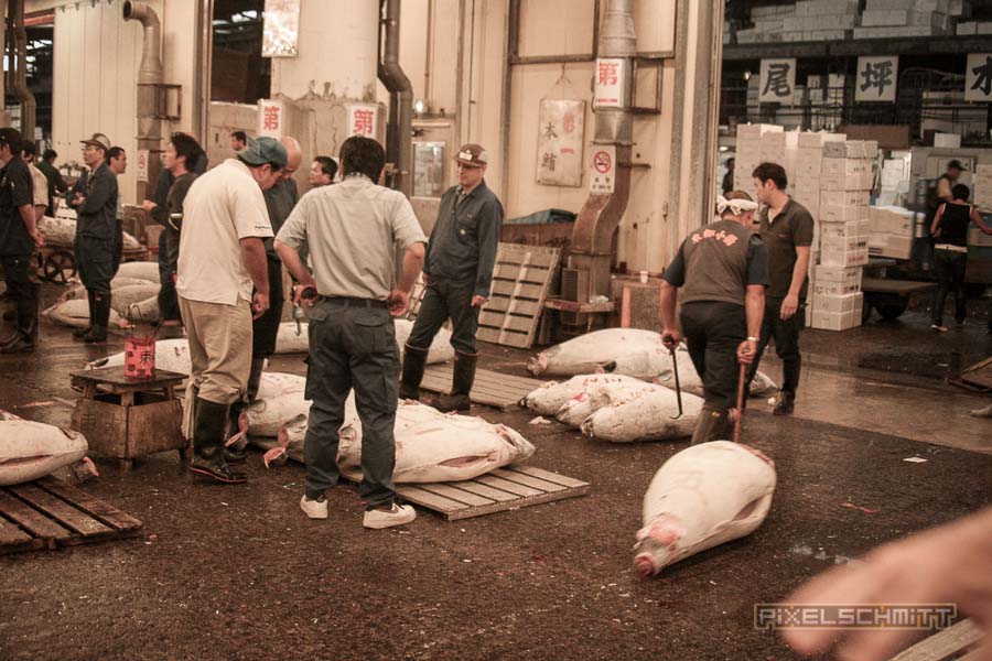 fischmarkt-tokyo-15