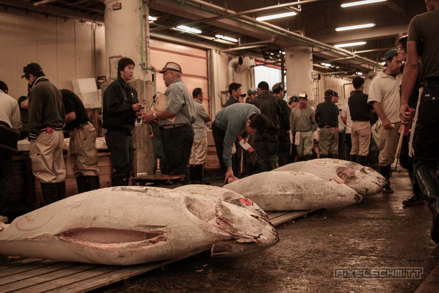 fischmarkt-tokyo-16