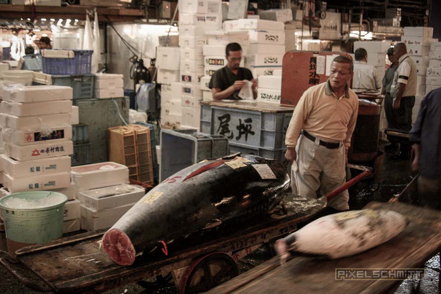 fischmarkt-tokyo-18