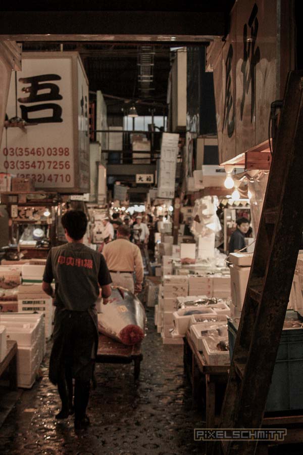 fischmarkt-tokyo-19