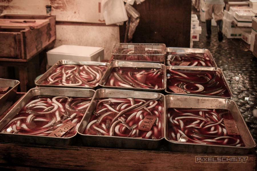 fischmarkt-tokyo-20