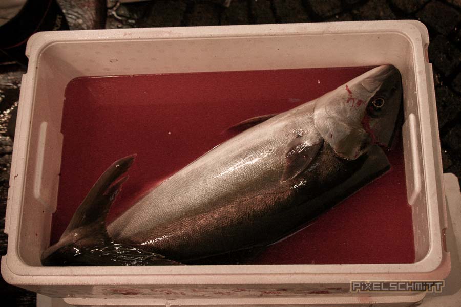 fischmarkt-tokyo-23