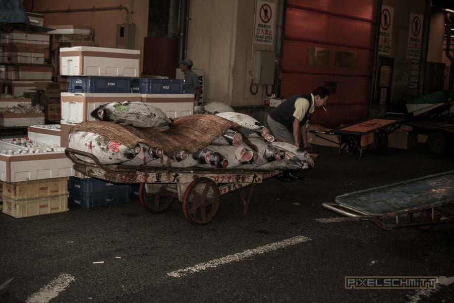 fischmarkt-tokyo-4