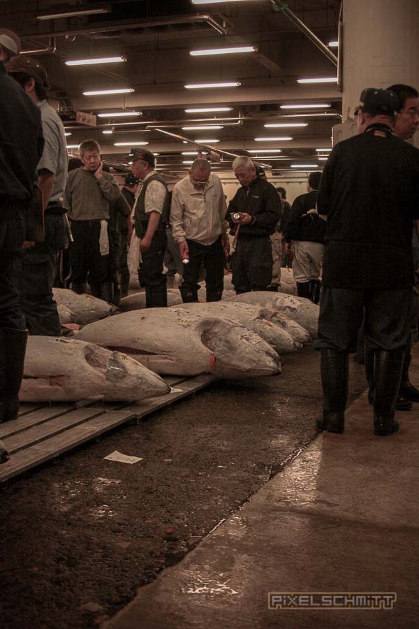 fischmarkt-tokyo-5
