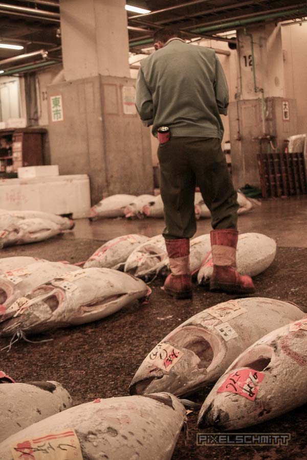 fischmarkt-tokyo-6