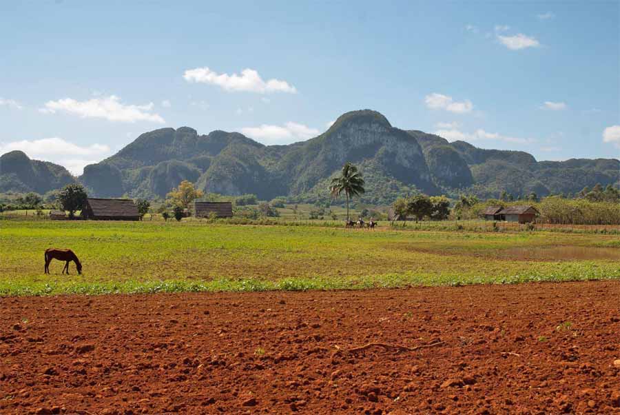 Kuba Highlights: Reiseblogger verraten ihre Geheimtipps Viñales-Tal, Foto: Sonya Schlenk
