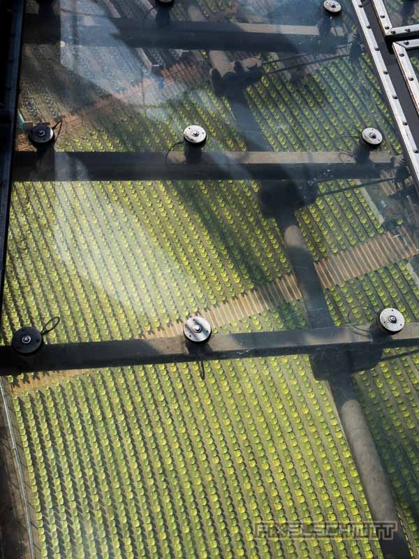 olympiastadion-muenchen-flying-fox-stadiontour-7