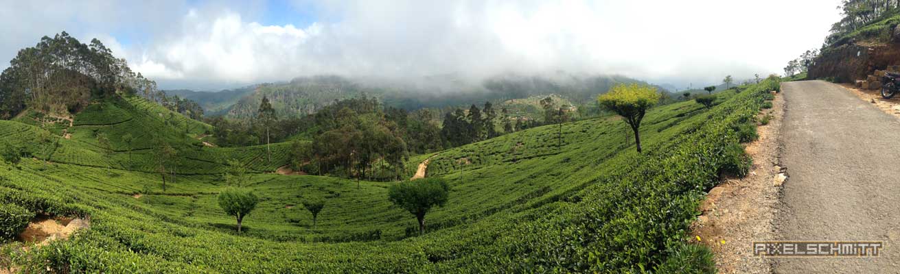 Lipton´s Seat - hier saß der Tee-Chef persönlich liptons-seat-sri-lanka-panorama-15