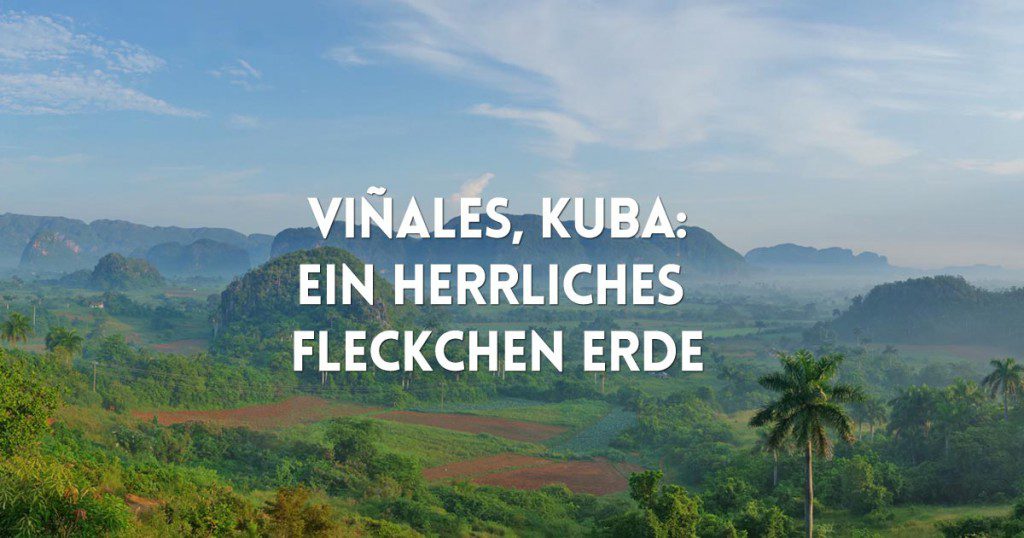 vinales kuba social