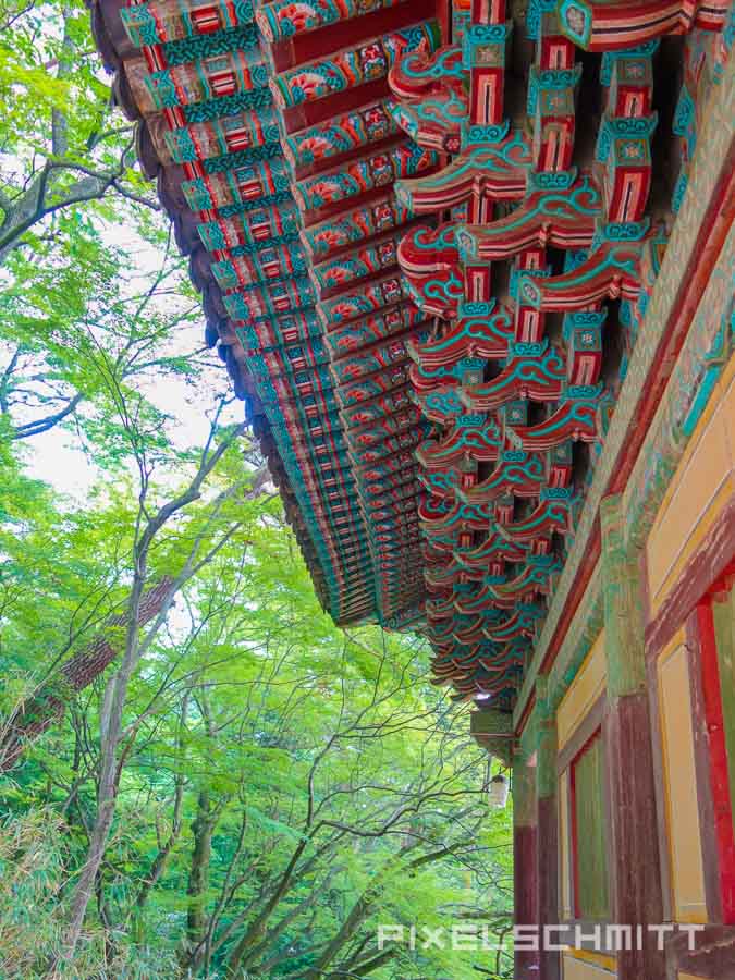 Von Busan nach Bulguksa