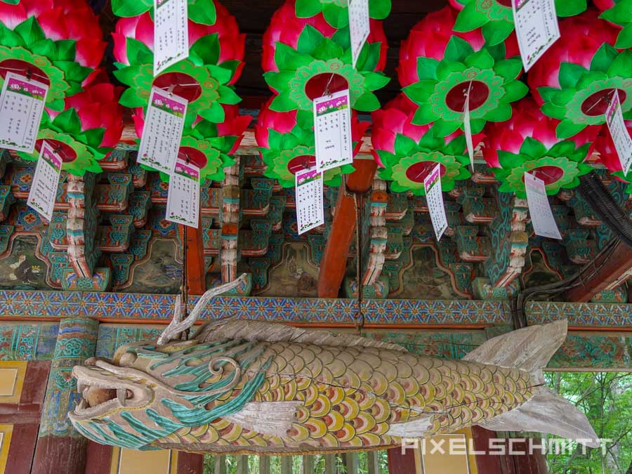 Von Busan nach Bulguksa