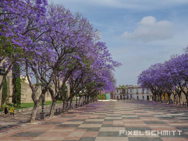 andalusien mietwagen urlaub 24