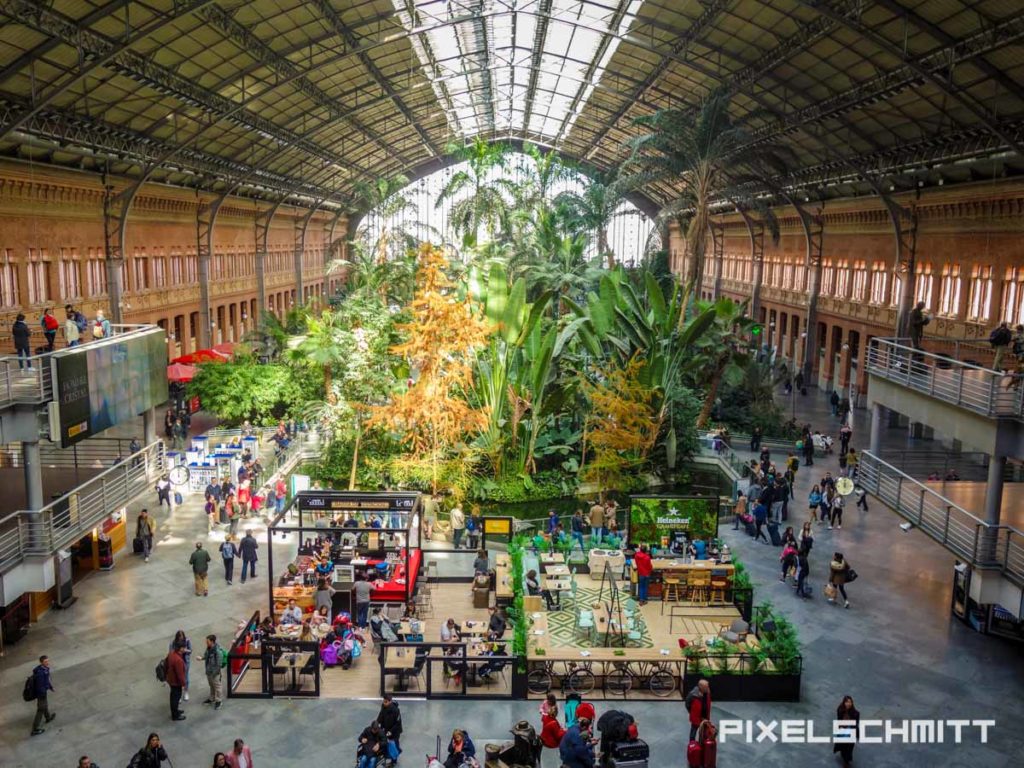 ❤️ Madrid: Sehenswürdigkeiten und 13 tolle Tipps für dich Palmengarten im Bahnhof Madrid Atosha