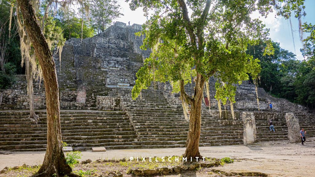 Mexiko Sehenswürdigkeiten: 9 tolle Ziele für deine Rundreise Calakmul: Tief im Dschungel