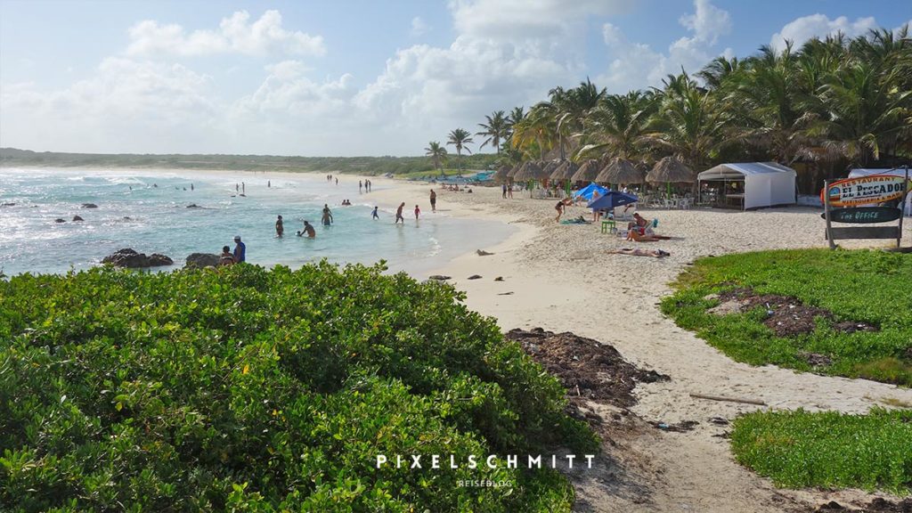 Mexiko Sehenswürdigkeiten: 9 tolle Ziele für deine Rundreise Traumstrand auf der Insel Cozumel