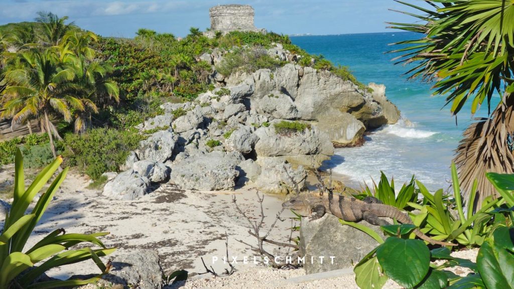 Mexiko Sehenswürdigkeiten: 9 tolle Ziele für deine Rundreise Tulum als Klischeebild: Ruinen am Strand und ein fotogener Iguana