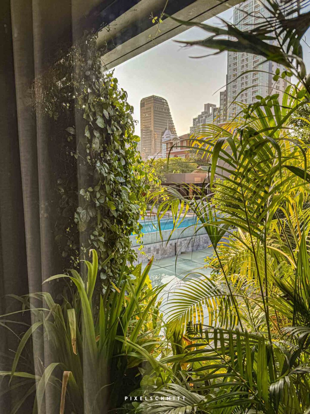 Ad Lib Hotel Bangkok - eine grüne Oase im Chaos der Stadt Der Blick aus dem Fenster auf den Pool
